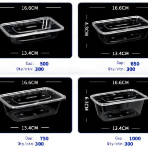Clear Rectangular Disposable Lunch Boxes