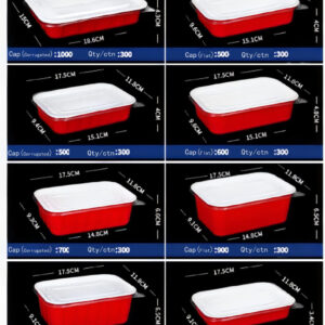 Blister Rectangular Disposable Food Container